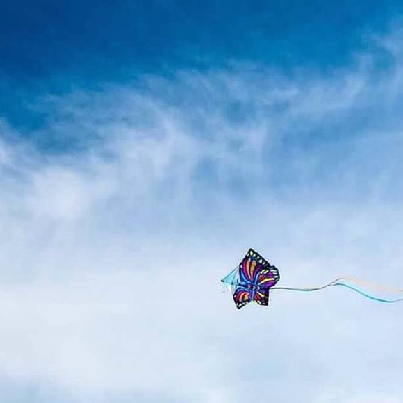 Meet your Posher, Victoria - Picture 1 of 1